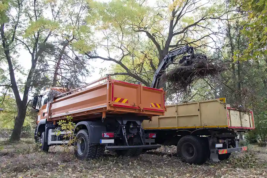 Experienced Dump Truck Insurance in Tampa FL for Owner Operators and Fleets Experienced Dump Truck Insurance in Tampa FL for Owner Operators and Fleets